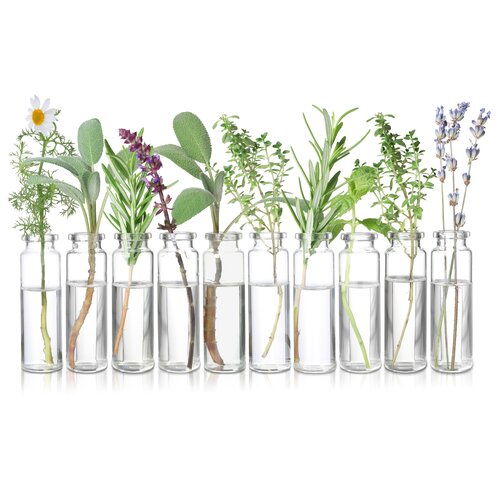 OSHADHI AROMATHERAPY INTRODUCTIE  AROMATHERAPIE  (voor starters en therapeuten)