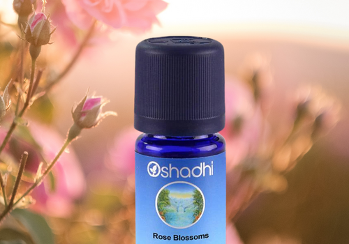 OSHADHI ESSENTIELE OLIEN