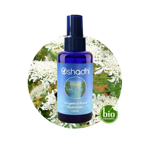 OSHADHI AROMATHERAPY Engelwortel  Hydrolaat Bio  SALES
