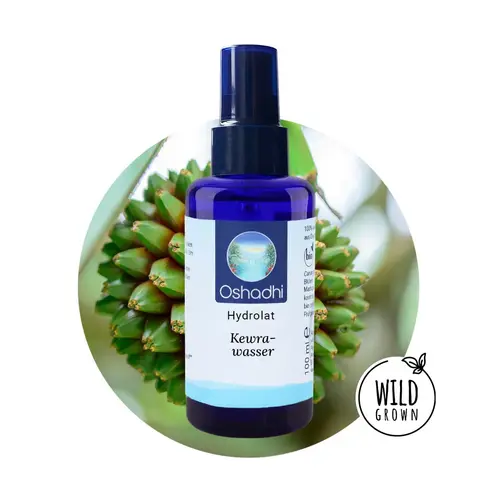 OSHADHI AROMATHERAPY Kewra  Hydrolaat wild