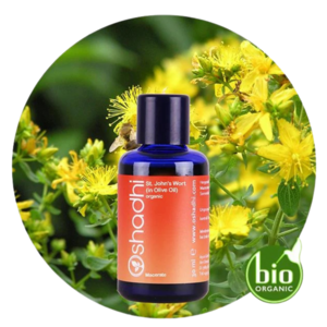 OSHADHI AROMATHERAPY Johanneskruid 20% in Olijfolie   SALES