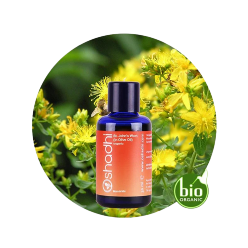 OSHADHI AROMATHERAPY Johanneskruid 20% in Olijfolie   SALES