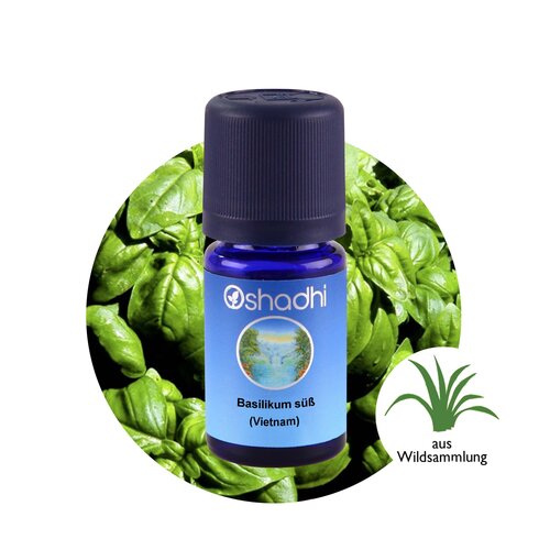 OSHADHI AROMATHERAPY Basilicum Zoet (Vietnam) wild E.O.
