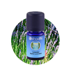 OSHADHI AROMATHERAPY Lavendel Spijk  E.O.