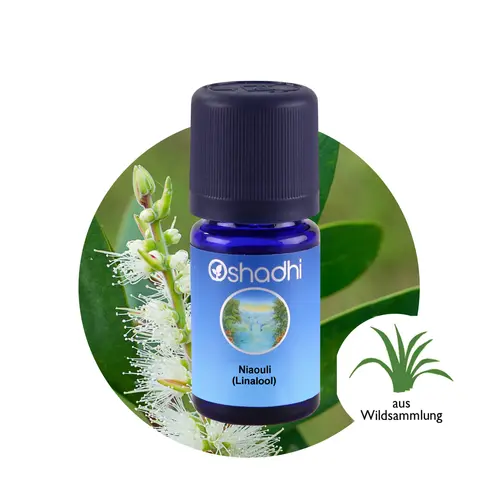 OSHADHI AROMATHERAPY Niaouli Linalool E.O.