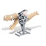 4m Kidz labs Zonne-energie robot
