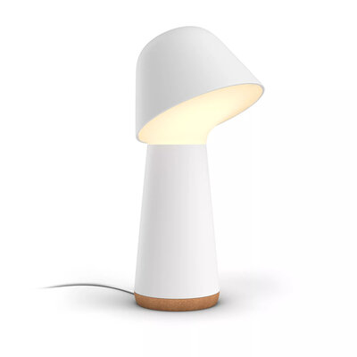 Philips Hue Twilight - Wit