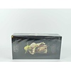Sideshow Figuur Yoda 1:6 - Collectors Item Edition