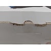 Tallas Hydrofoorpomp D-econcept - 1000W