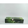 Philips Sokkellamp Parterre - 40 cm - Zwart