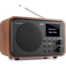 Audizio Radio DAB - Milan - Hout/Zwart