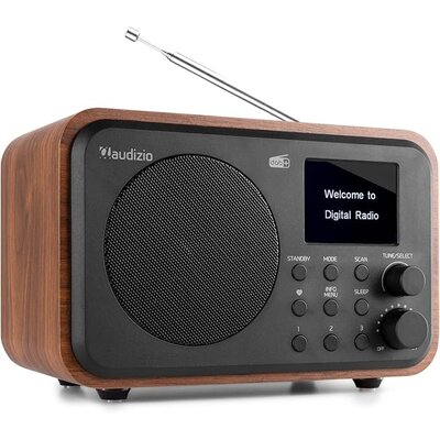 Audizio Radio DAB - Milan - Hout/Zwart