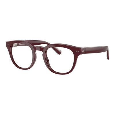 Nuance Audio Gehoorbril Panthos 48 - AW5002-03 - Shiny Burgundy
