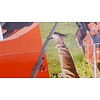 Black+Decker Accu Grasmaaier BCMW3318L2-QW