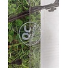 Powerplus Tuinfrees POWXG72010 - 1500W