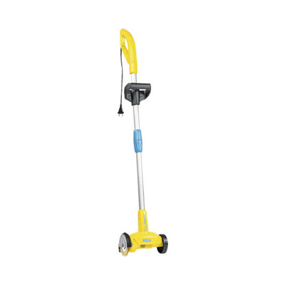 Gloria Voegenborstel WeedBrush