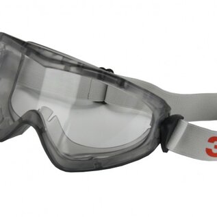 3M 3M ruimzichtbril 2890