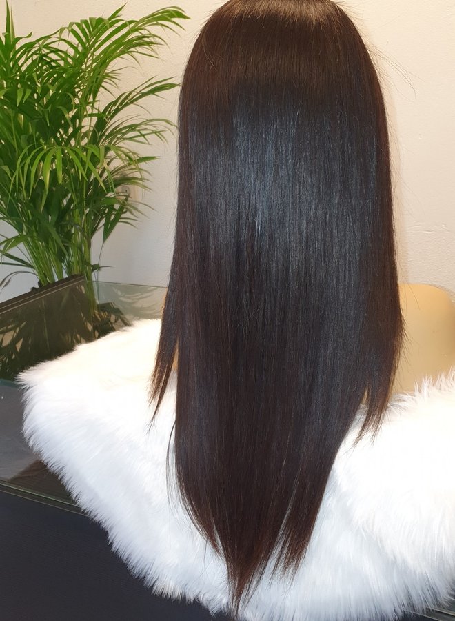 HD Frontal Wig Raw Indian Straight 22"