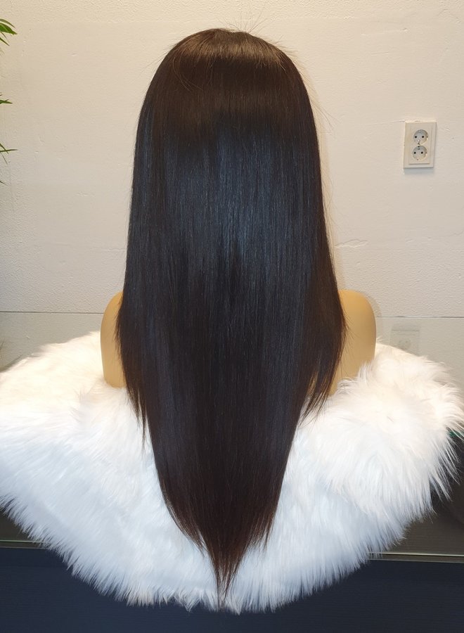 HD Frontal Wig Raw Indian Straight 22"