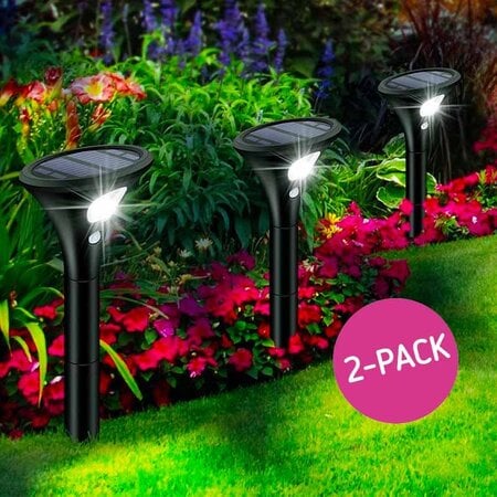 Luxe Solar Tuinlamp met Sensor