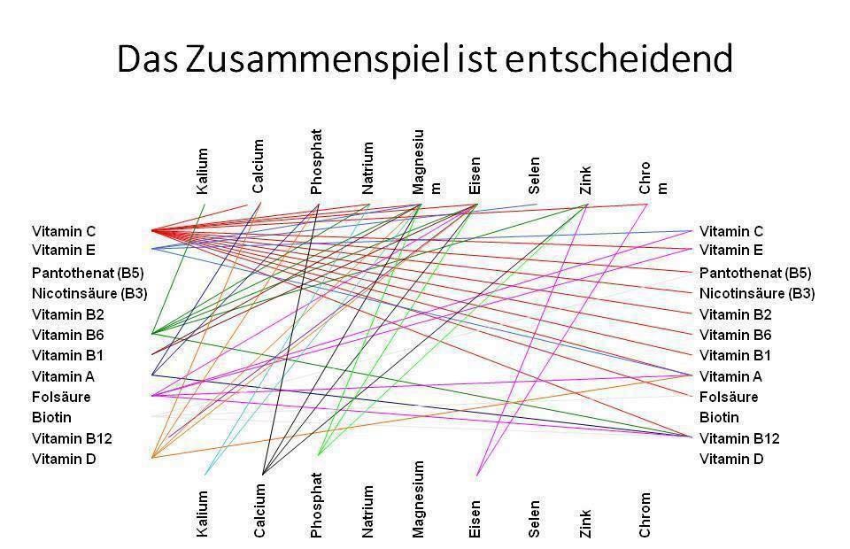 Vitamine - Ballaststoffe - Spurenelemente