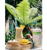 Herbalife Formula 1 Healthy Meal - Pineapple and Coconut - Pina Colada - vegan ingredients