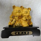 lucky chinese pig family