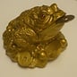 golden money frog , 7x5cm