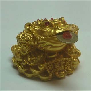 Geldfrosch für Reichtum und Glück  ca.5x4cm