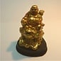 golden laughing Buddha on money frog 7x7,5x9cm