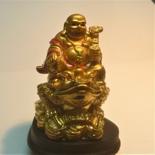 golden laughing Buddha on money frog 7x7,5x9cm