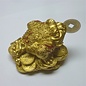 golden money frog , 8x6cm