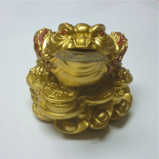 golden money frog , 8x6cm