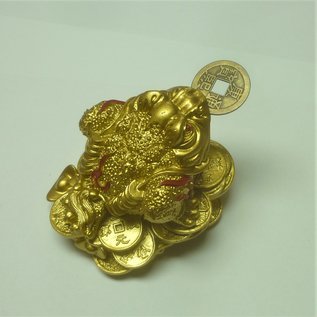 golden money frog , 8x6cm