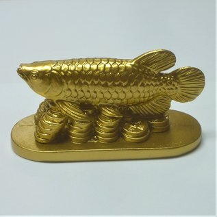 Arowana, 11x6x4,5cm