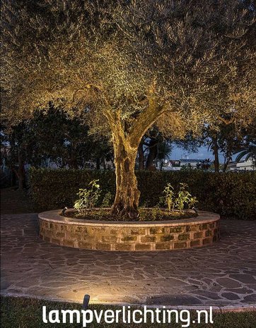 Tuinspot LED met Spies 9W