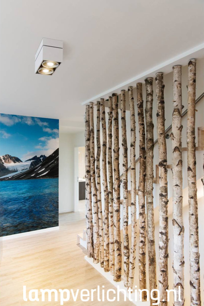 Opbouwspot Box Dubbel Groot Opbouwspot Box Dubbel Groot