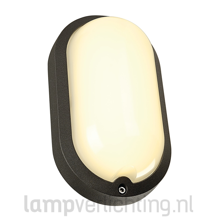 perspectief Regulatie Rose kleur Solide Bulls Eye Lamp met LED - 830 lumen - Antraciet of wit - Tip -  LampVerlichting.nl
