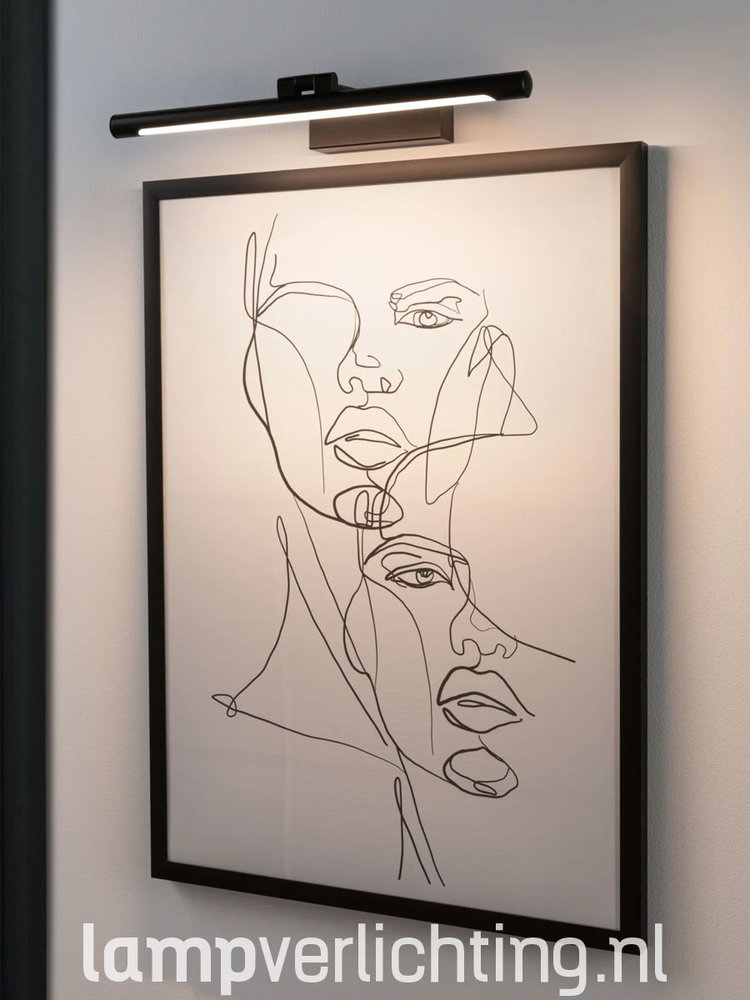 LED Schilderijverlichting 42 cm LED Schilderijverlichting 42 cm