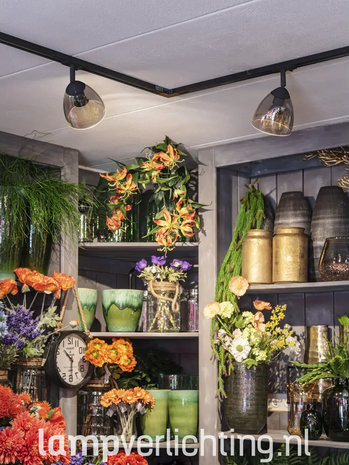 Railspot Groot Glas GU10 1-Fase