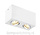 Opbouwspot Box Dubbel GU10