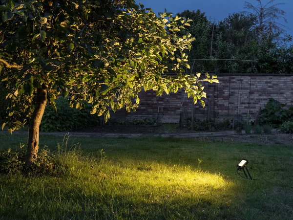 LED Schijnwerper Breedstraler IP65 30W LED Schijnwerper Breedstraler IP65 30W