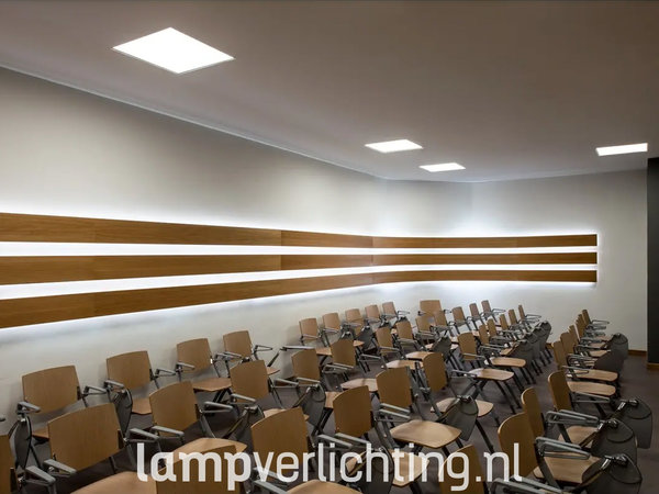 viool klep blad LED Paneel 60x60 cm Kantoor UGR 19 - Voor Kantoor - Niet verblindend -  LampVerlichting.nl