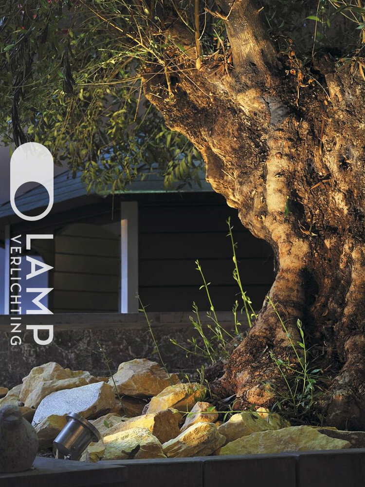 Tuinspot Rvs 12V IP67