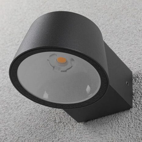 Vleermuisvriendelijke Wandlamp Bat-W2