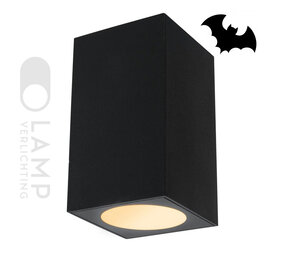Vleermuisvriendelijke Verlichting Bat-1 Vleermuisvriendelijke Verlichting Bat-1