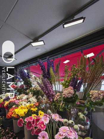 Railspot LED Paneel Rechthoekig 1-Fase Railspot LED Paneel Rechthoekig 1-Fase