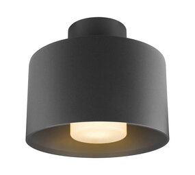 Plafondlamp Industrieel Cilinder IP65 E27 Plafondlamp Industrieel Cilinder IP65 E27
