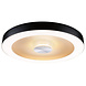 Plafondlamp Plat Rond 40 cm LED Dimbaar