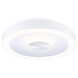 Plafondlamp Plat Rond 40 cm LED Dimbaar